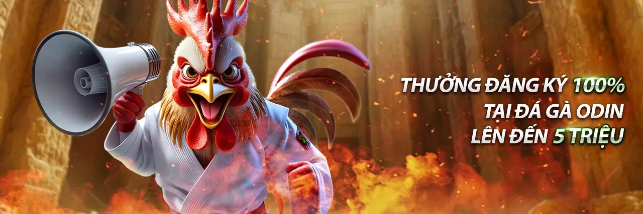 Hướng dẫn đá gà trực tiếp 388 cho người mới bắt đầu
