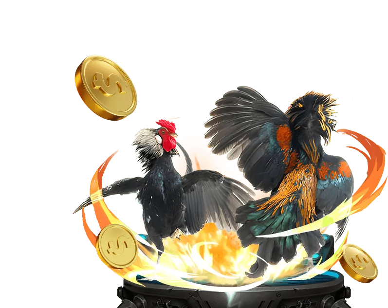 Cộng đồng chọi gà tại đá gà trực tiếp 388 với tinh thần thể thao cao thượng