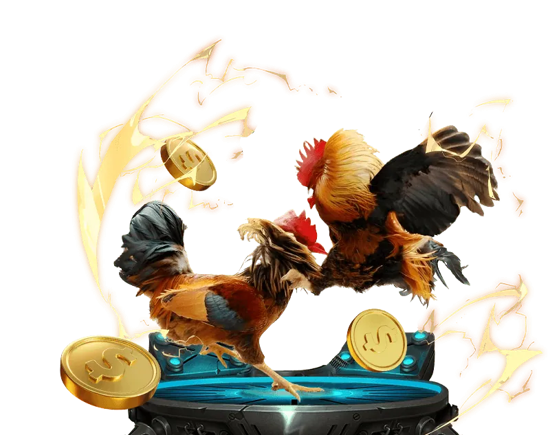 Ưu Điểm Đá Gà Trực Tiếp 388